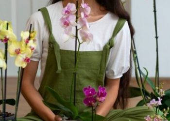 Helpful Tips for Growing Lilies from Cut Lily Plants