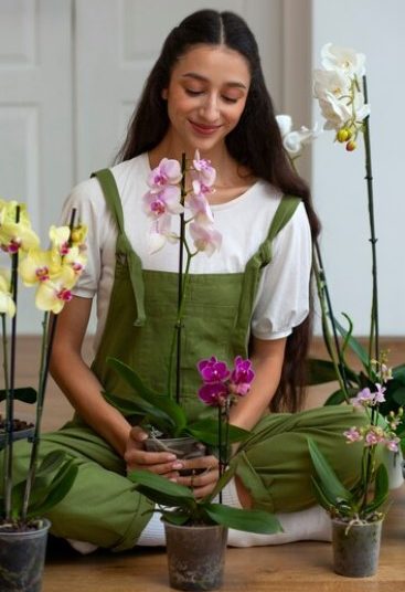 Helpful Tips for Growing Lilies from Cut Lily Plants